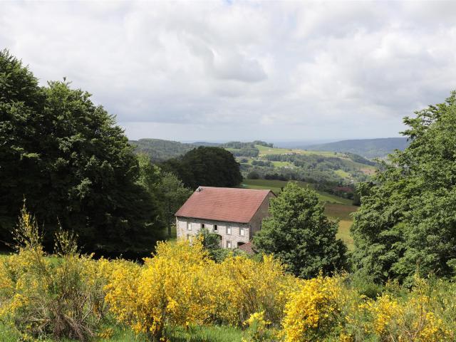 Ferme de caractère dans un endroit isolé de 6,3 hectares 200m² Le Val d'Ajol