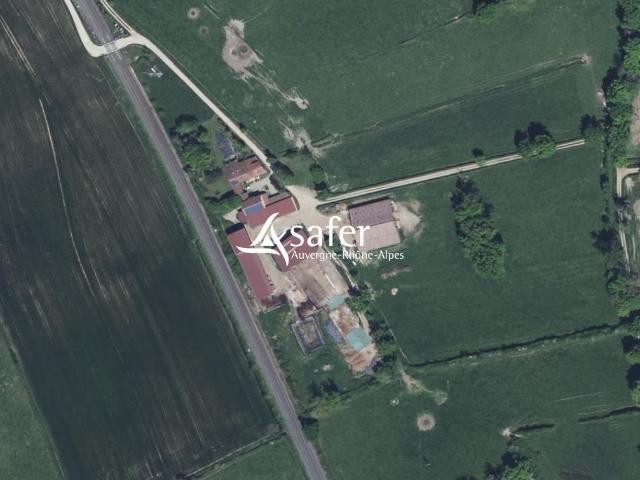 Ferme d'élevage Plaine du Forez 160m² Feurs