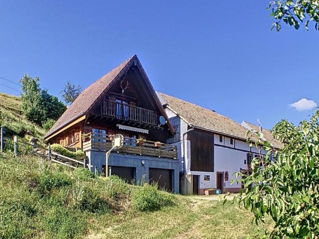 Ferme en montagne vue panoramique gîtes, agricole ou to