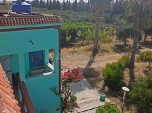 Ferme entièrement équipée à vendre – 31.162 m² – Province de Safi