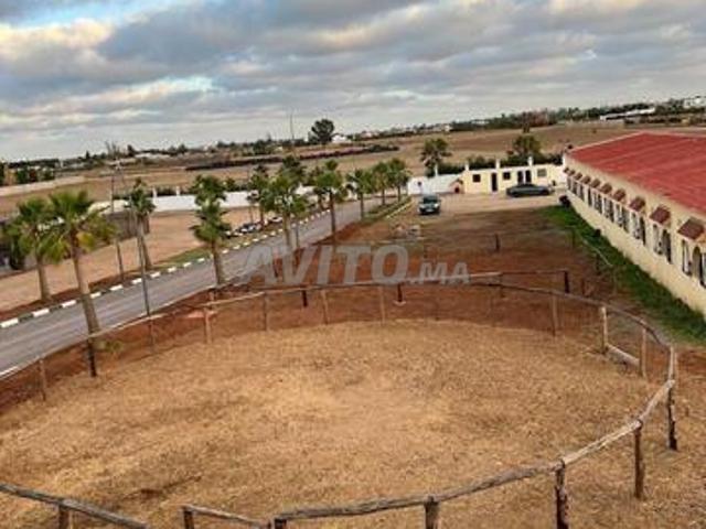 Ferme équestre 2Ha équipée à Bouskoura Rare