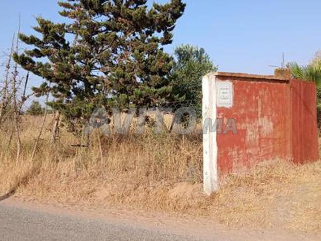 Ferme équipée, مزرعة مجهزة