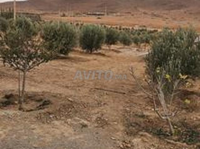 Ferme équipée Oujda