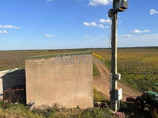 Ferme équipée à vendre aux environs de Ain Aouda