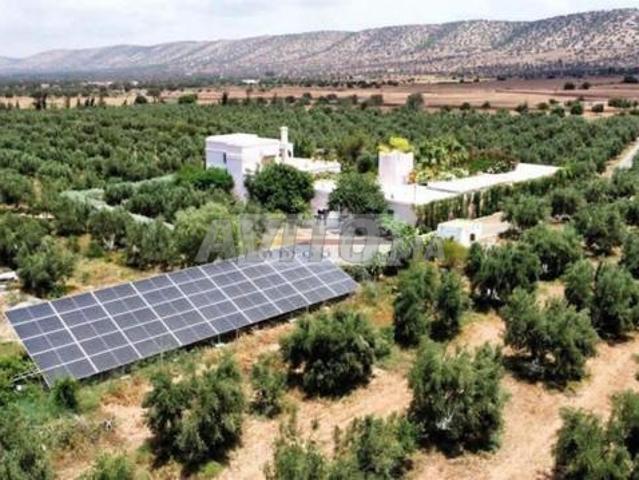 Ferme équipée à vendre dans la région de Larache