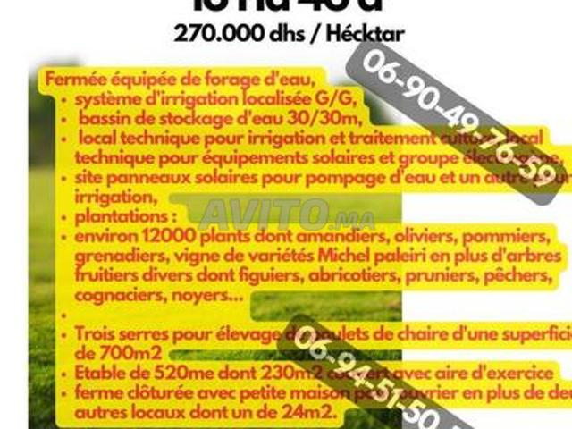 Ferme Équipée à Vendre près de Oued El Heïmer
