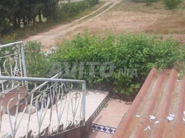 Ferme équipée et bien entretenue à vendre, superficie d'un hectare, Ain Jouhara