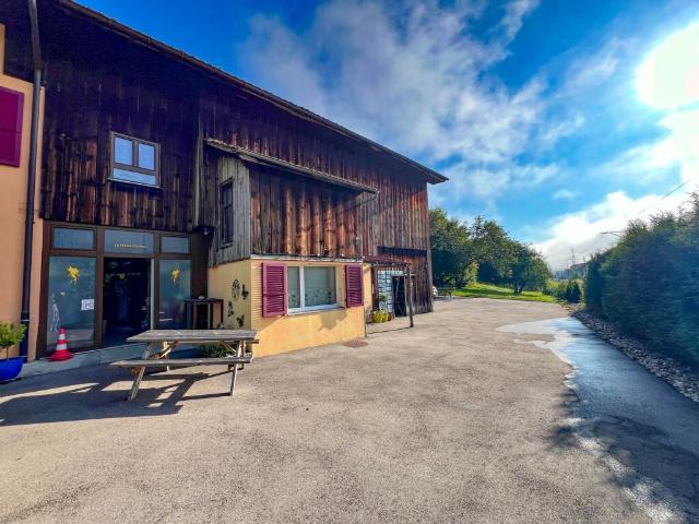 Ferme rénovée avec charme et potentiel
