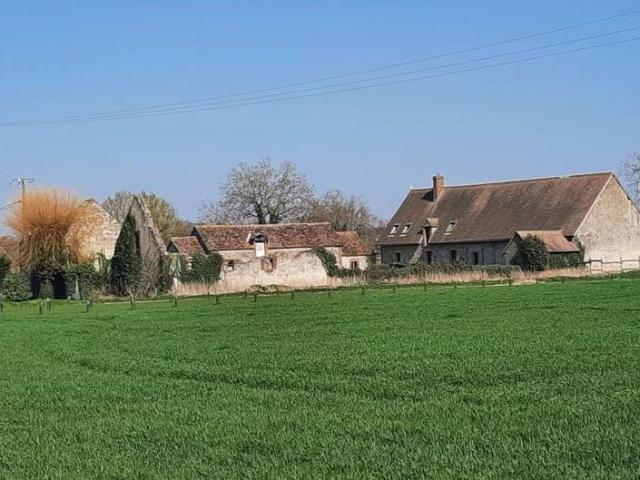 Ferme rénovée Lion en Sullias