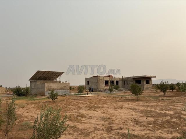 Ferme route Saidia