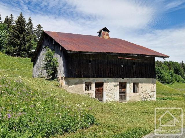 Ferme savoyarde alpine traditionnelle à rénover avec 11 665. m² Onnion