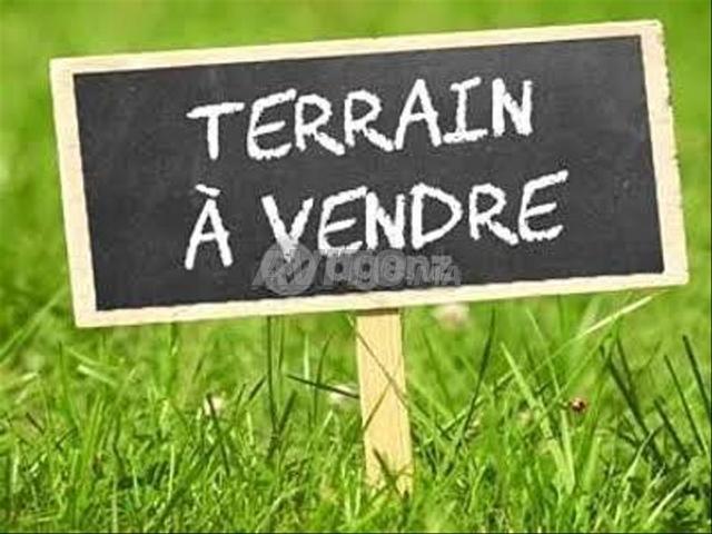 Fermes et terrains titrés à vendre 10000 mètres environs de M'dion