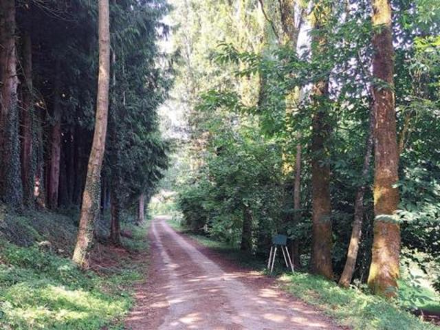 Fermette de 130m² avec 4 chambres sur un magnifique terrain de 15000m²