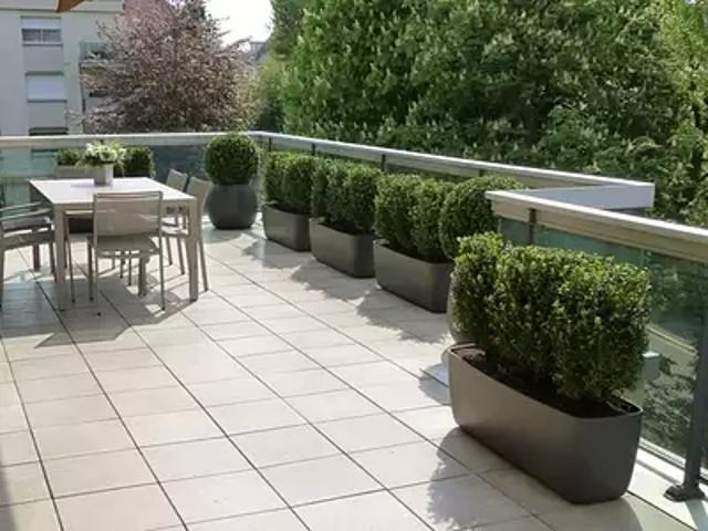 Ferney Voltaire 01210 Achat / Vente appartement 3 pièces t3