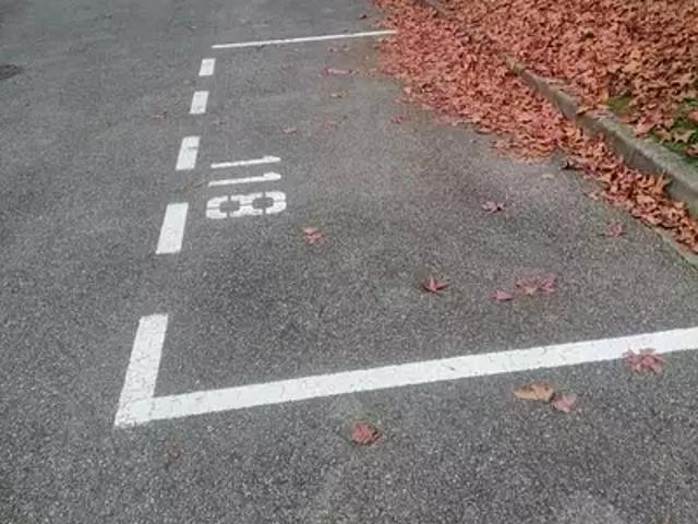 Ferney Voltaire 01210 Achat / Vente parking