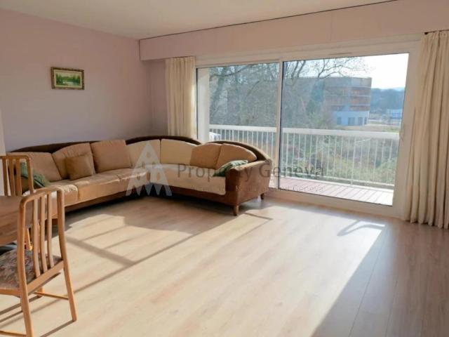 FERNEY VOLTAIRE Appartement T3 lumineux à deux pas de la f