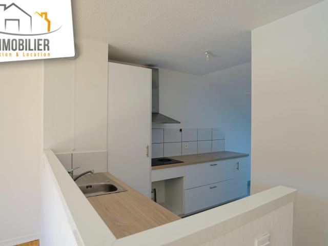 Ferney Voltaire Location Appartement 01