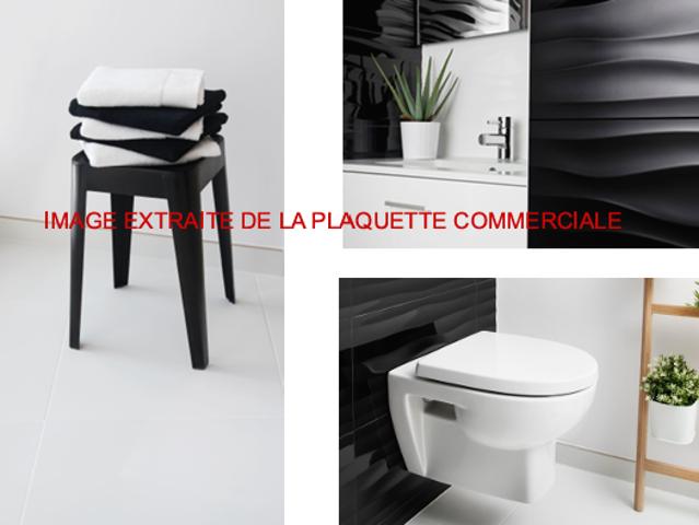 Ferney Voltaire Vente Appartement 01