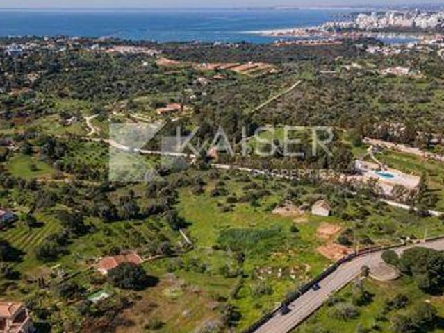 Ferragudo Faro 99518596