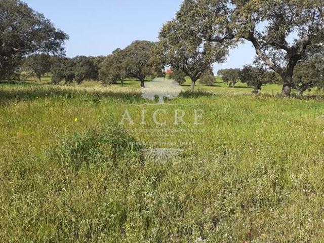 Ferreira do Alentejo Beja LS66631012