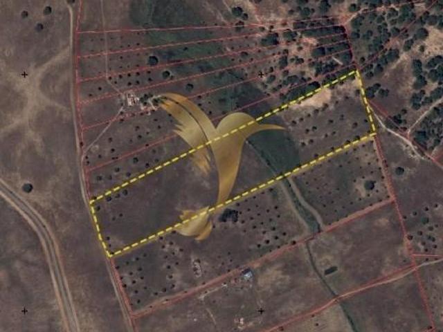 Ferreira do Alentejo Beja 102887751