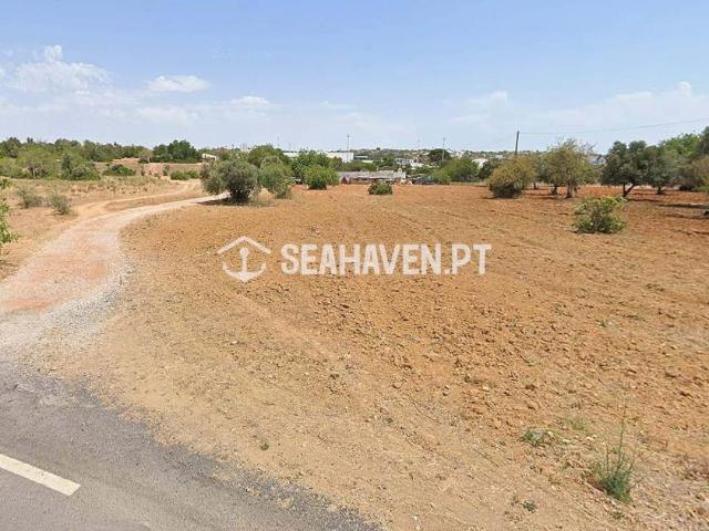 Ferreiras Algarve 99469302