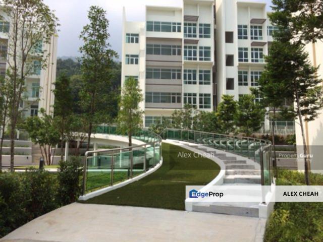 Ferringhi Residence