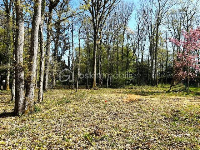 Ferrières en Gâtinais Vente Terrain 45