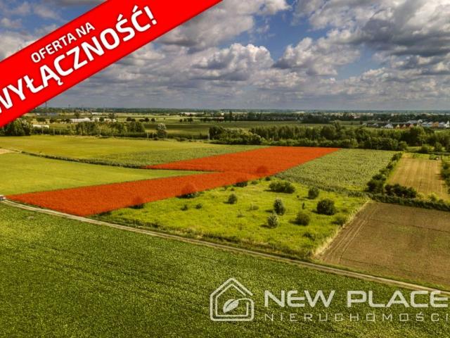 Festynowa 11 779 m², Kamieniec Wrocławski