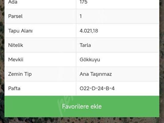 FETHİYE BABADAĞ'A YAKIN ÖLÜDENİZİ GÖREN SATILIK 4.021 M2 SATILIK TARLA