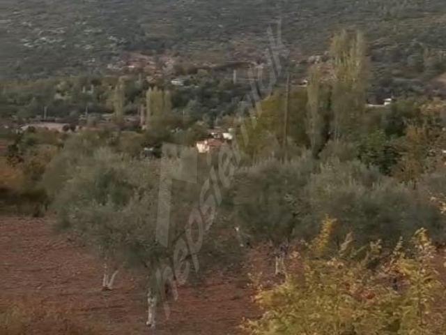 FETHİYE ÇENGER MAH.İLKON'DAN SATILIK KÖYİÇİ İMARLI TARLA