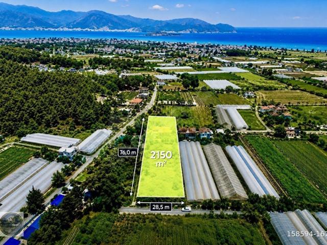 FETHİYE KARAGEDİKTE SAÇLIDAN SATILIK 2150 M2 ARSA VE MÜSTAKİL EV + SERA