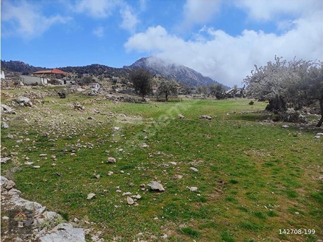 fethiye karaağaç da satılık tarla