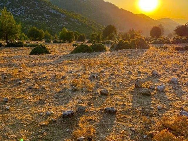 Fethiye Karaağaçta 2616 m Yatırımlık Kaçırılmayacak Fırsat
