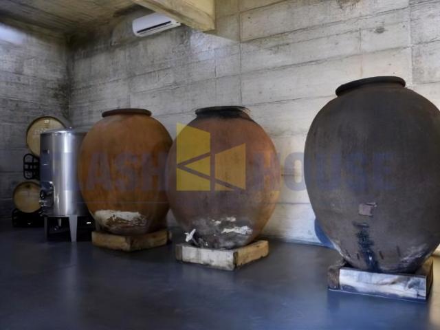 FHCC4004 Herdade com produção de vinho, Quinta com Projeto Vitivinícola