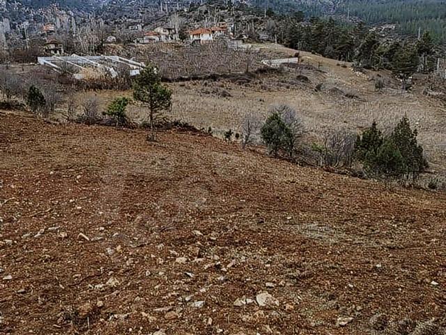 FİYAT DÜŞTÜ ÇOK ACİL SATILIK 642M2 FIRSAT TAPULU DOYRANDA KAÇMAZ