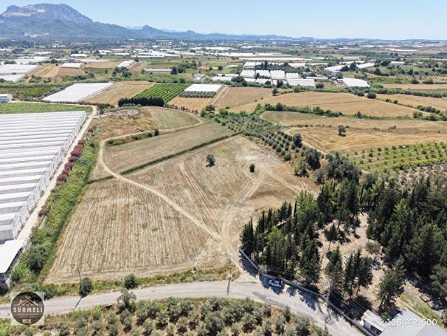 FİDELİK VE SERA YERİ SATILIK TEK TAPU TARLA 41688 M2 SERİK BÜĞÜŞ