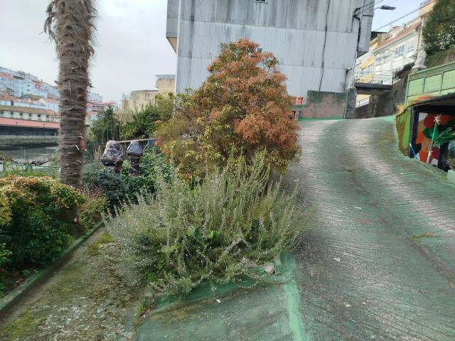 Fin de semana con terreno rústico y galpones en Betanzos al margen del río Mandeo
