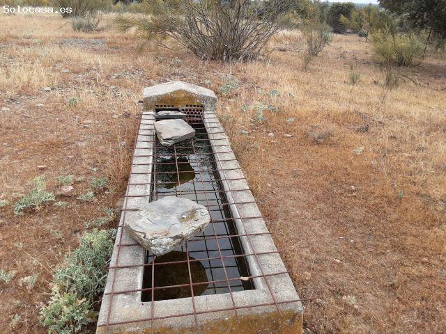 Finca 4´5 hect con agua en Botija