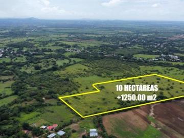 FINCA 10 hectáreas +1250m2 en venta aguadulce
