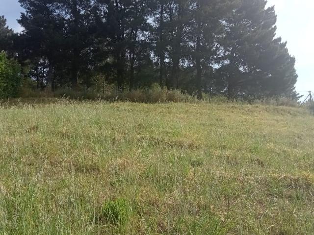 SE VENDE FINCA EN URBANIZACIÓN PATRICIA