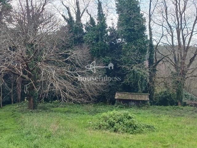 Finca urbana, edifica tu nueva vivienda