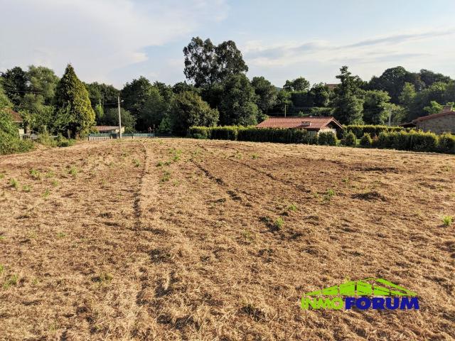 Finca Urbana Lendoiro 1500m2