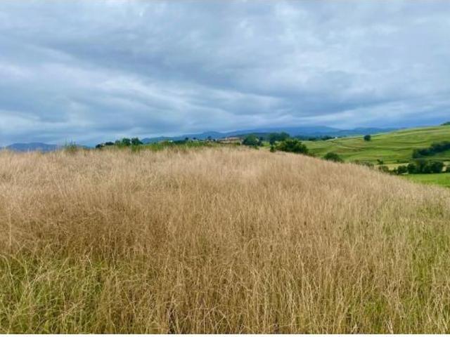 FINCA URBANIZABLE CON AUTORIZACIÓN DE CROTU EN HINOJEDO