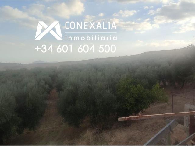 Finca Venta Cádiz