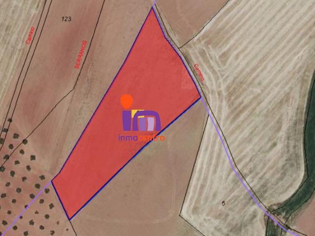 Finca Venta Ciudad Real