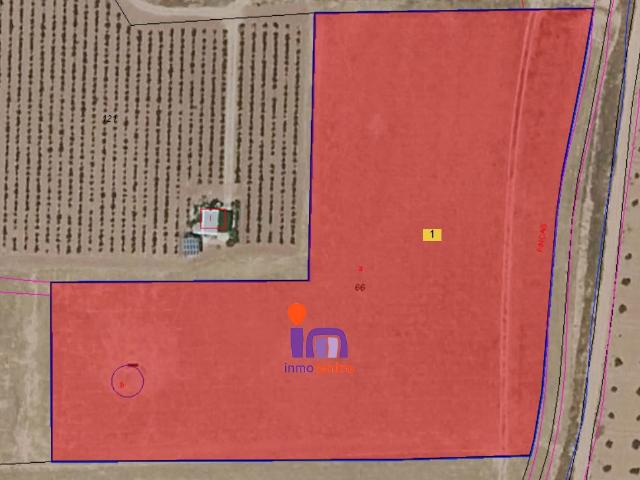 Finca Venta Ciudad Real