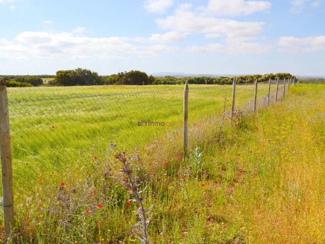 Finca Venta Ciudad Real