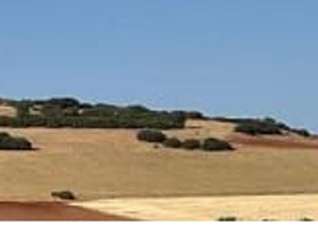 Finca Venta Ciudad Real
