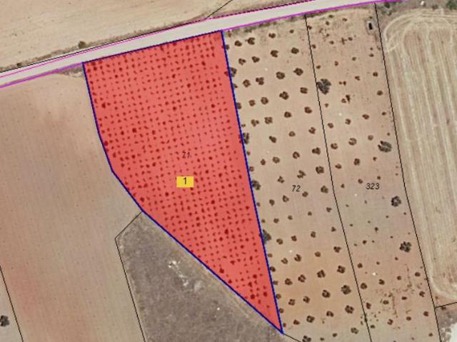Finca Venta Ciudad Real